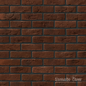 Leonardo Stone, Дижон 747